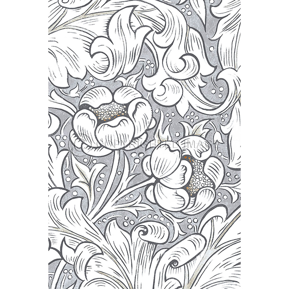 Bachelors Button Chalk 20x30