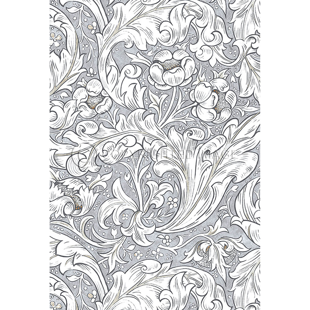 Bachelors Button Chalk 38x56