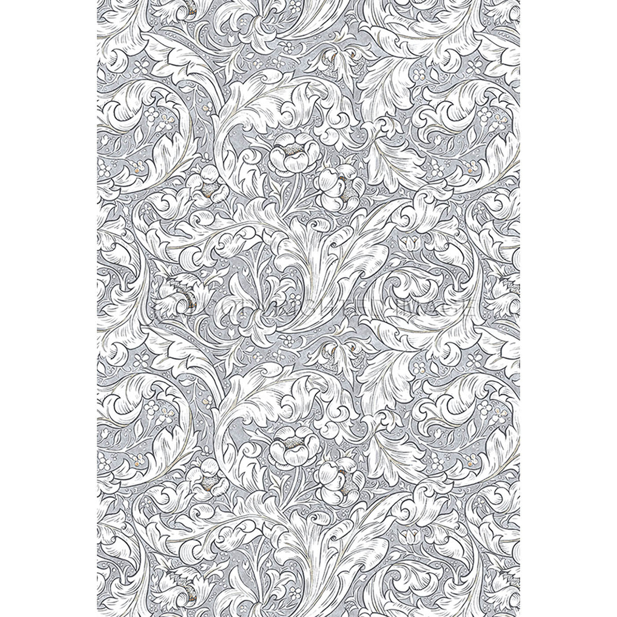 Bachelors Button Chalk 70x102