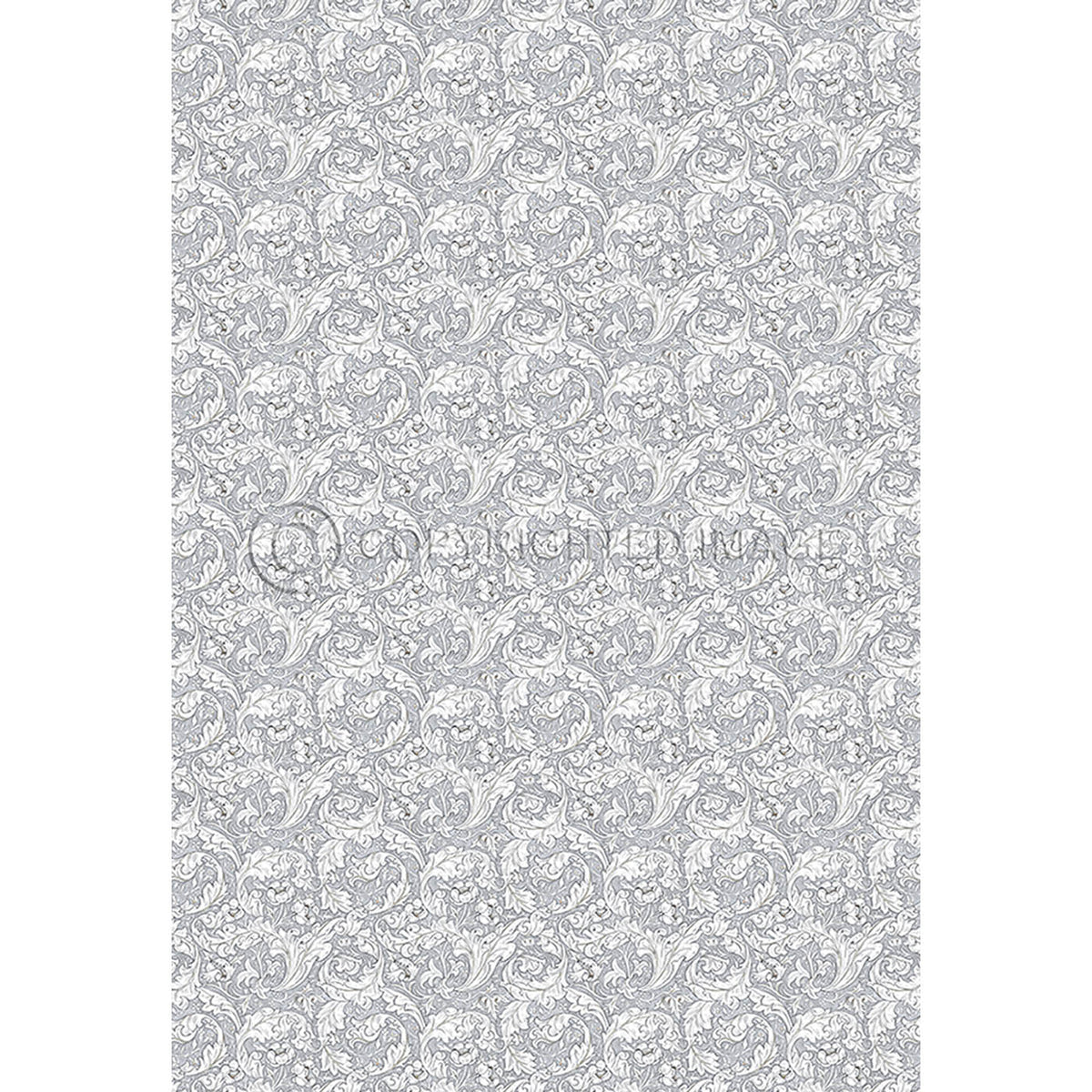 Bachelors Button Chalk 120x175