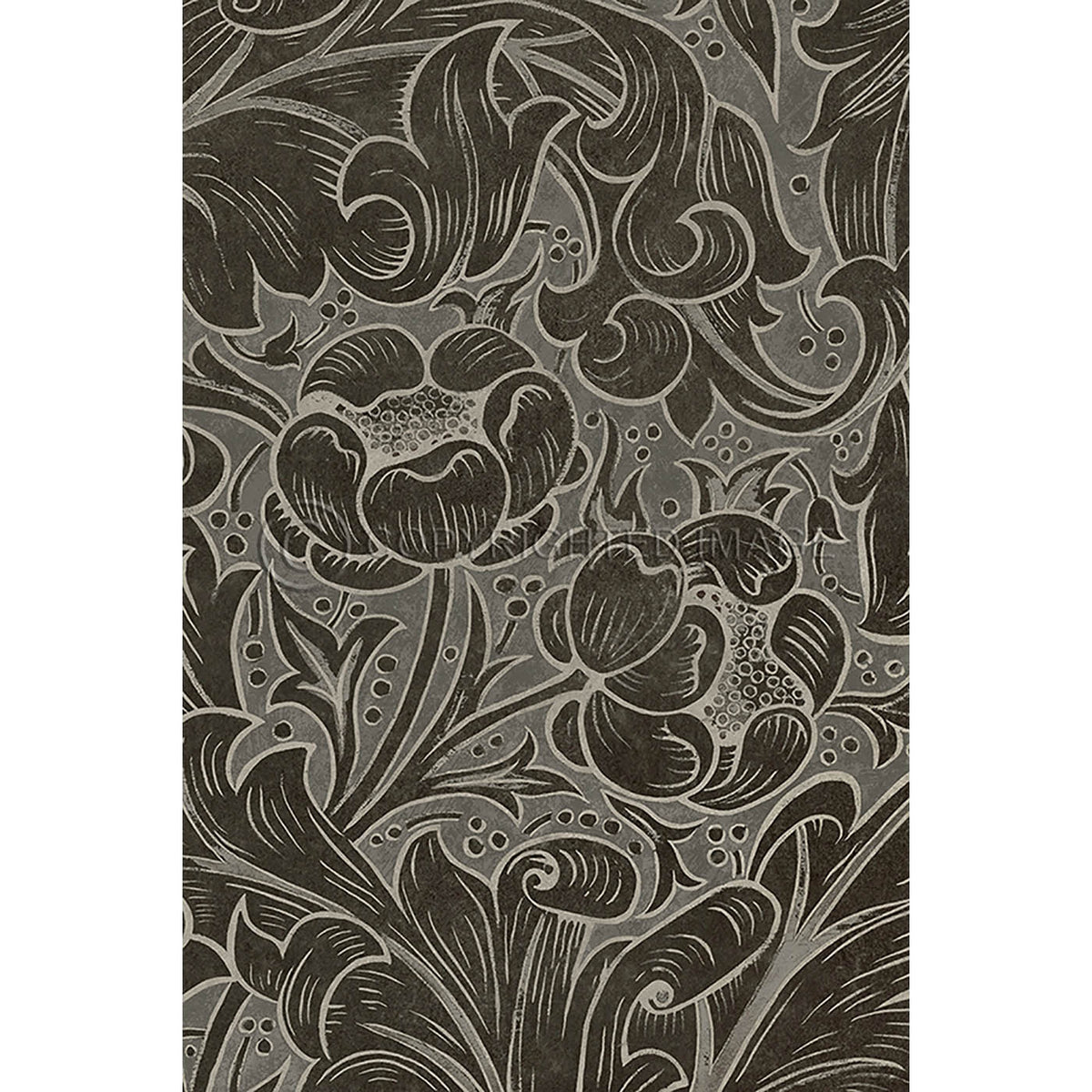 Bachelors Button Charcoal 20x30