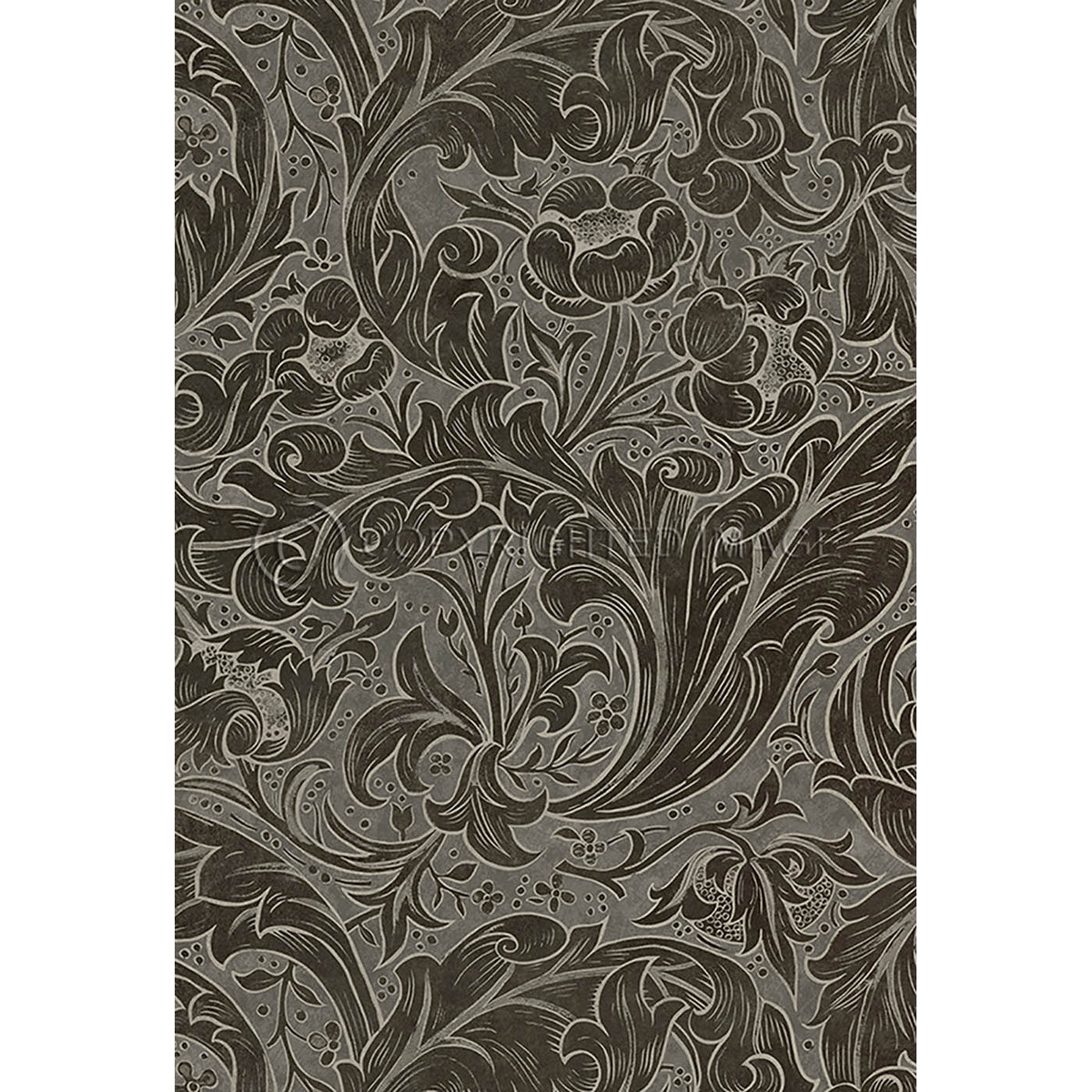 Bachelors Button Charcoal 38x56