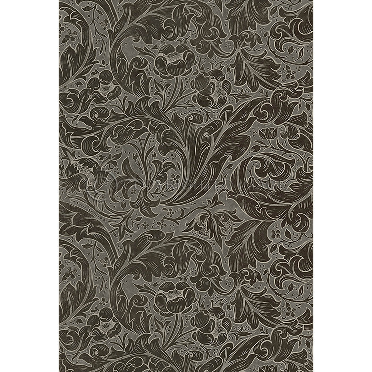 Bachelors Button Charcoal 52x76