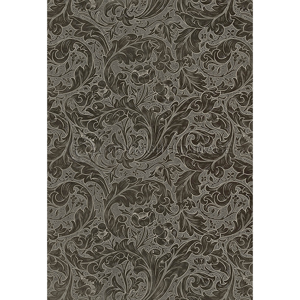 Bachelors Button Charcoal 70x102