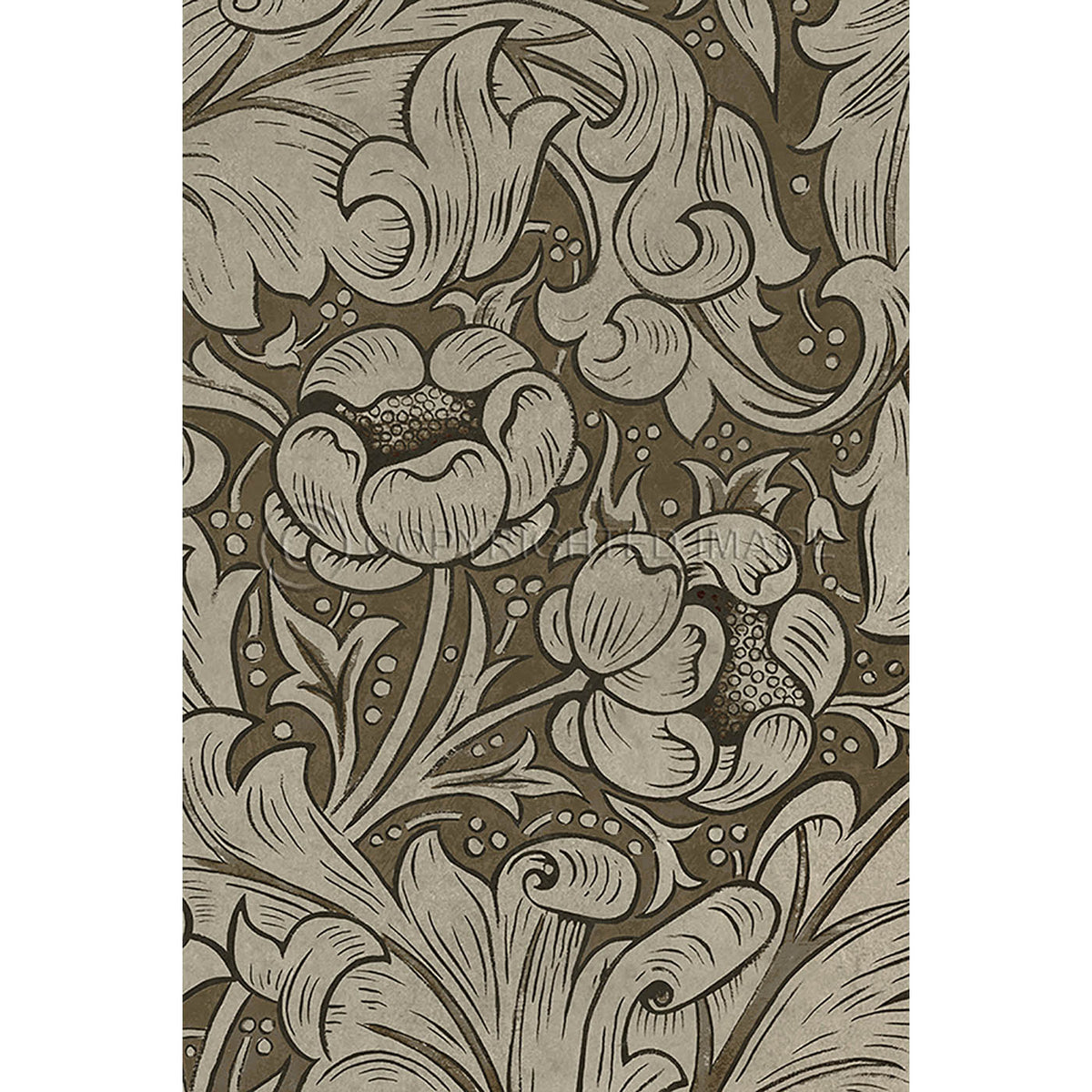 Bachelors Button Fawn 20x30