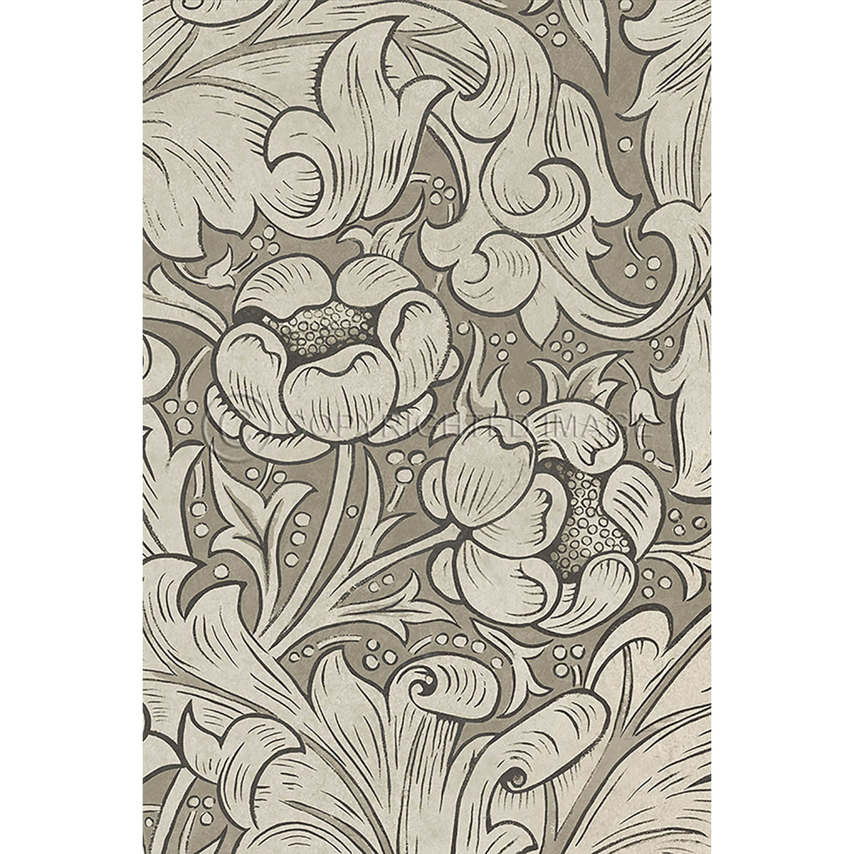 Bachelors Button Sandstone 20x30