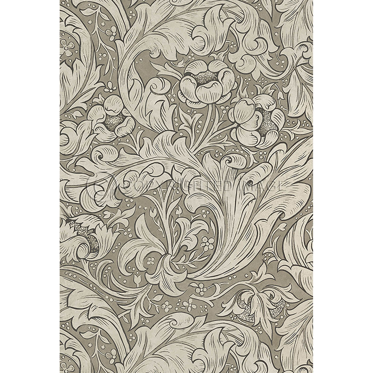 Bachelors Button Sandstone 38x56