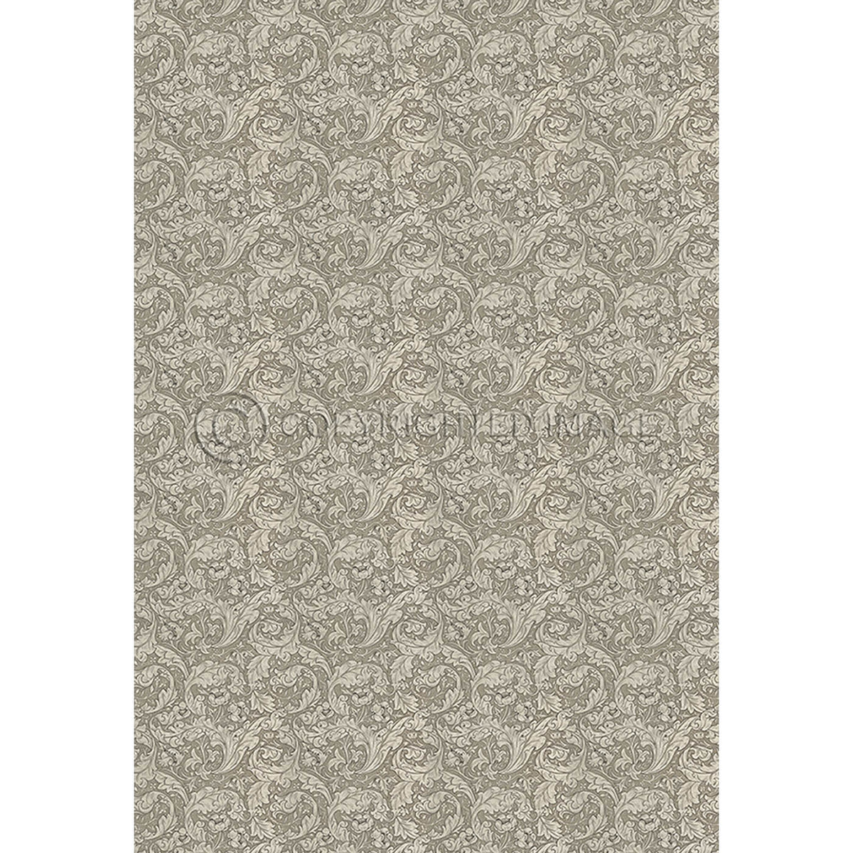 Bachelors Button Sandstone 120x175