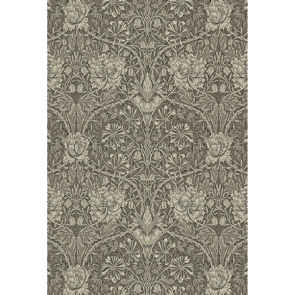 Honeysuckle and Tulip Birch Grey 38x56