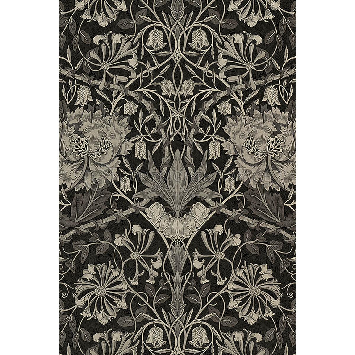 Honeysuckle and Tulip Black 20x30