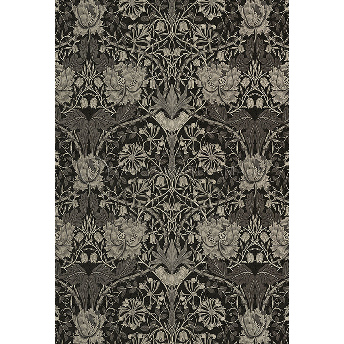 Honeysuckle and Tulip Black 38x56