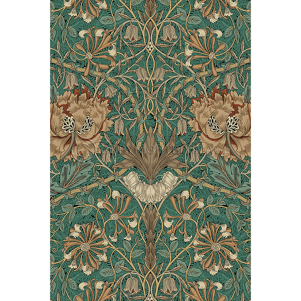 Honeysuckle and Tulip Privet 20x30