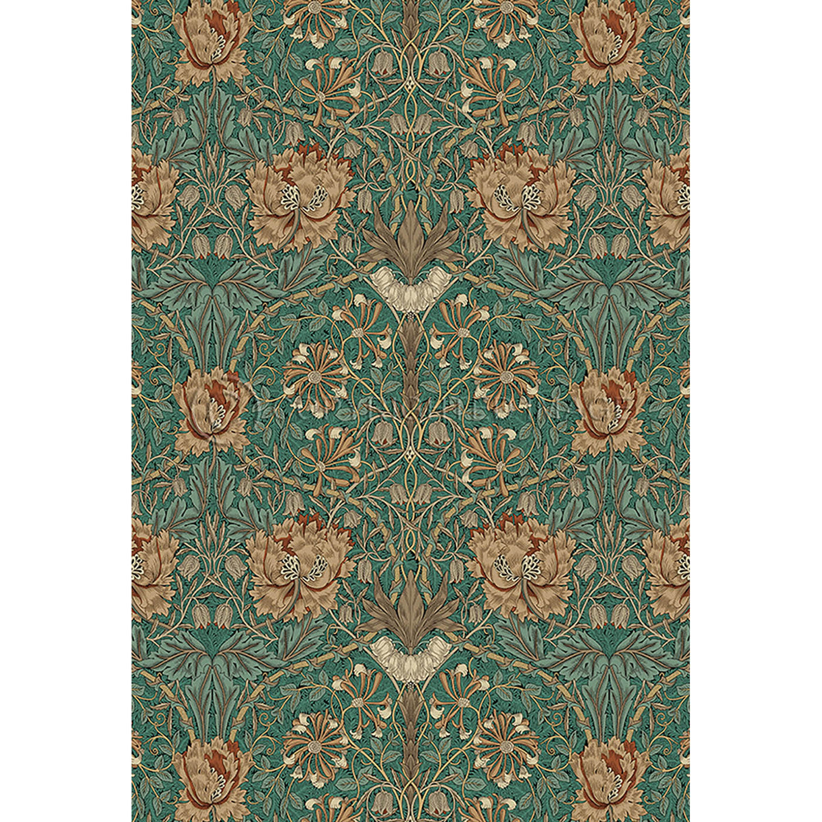 Honeysuckle and Tulip Privet 38x56