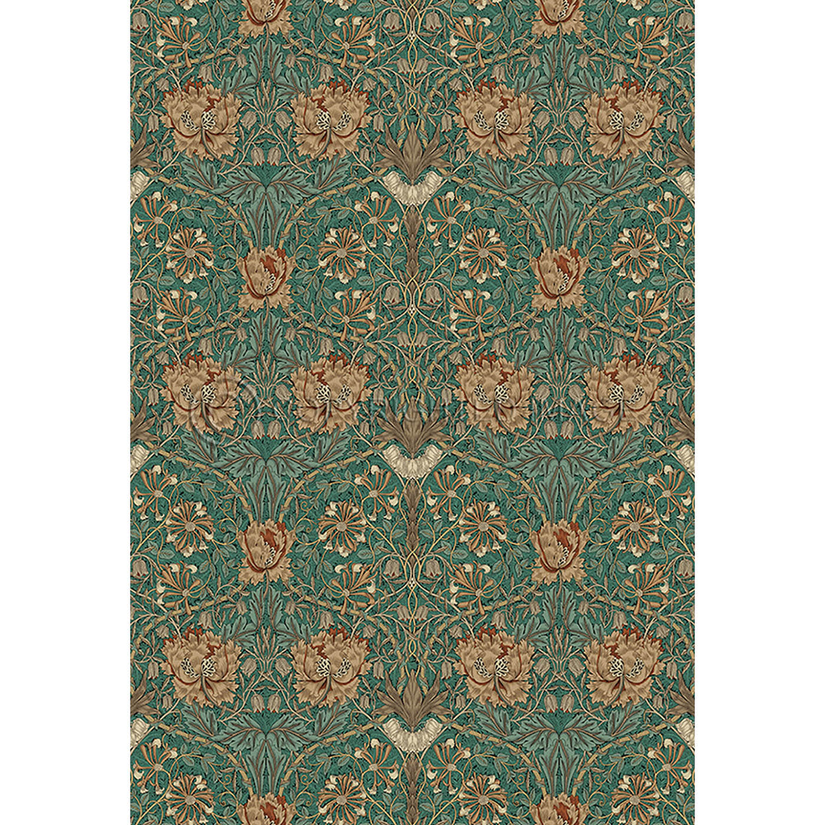 Honeysuckle and Tulip Privet 52x76