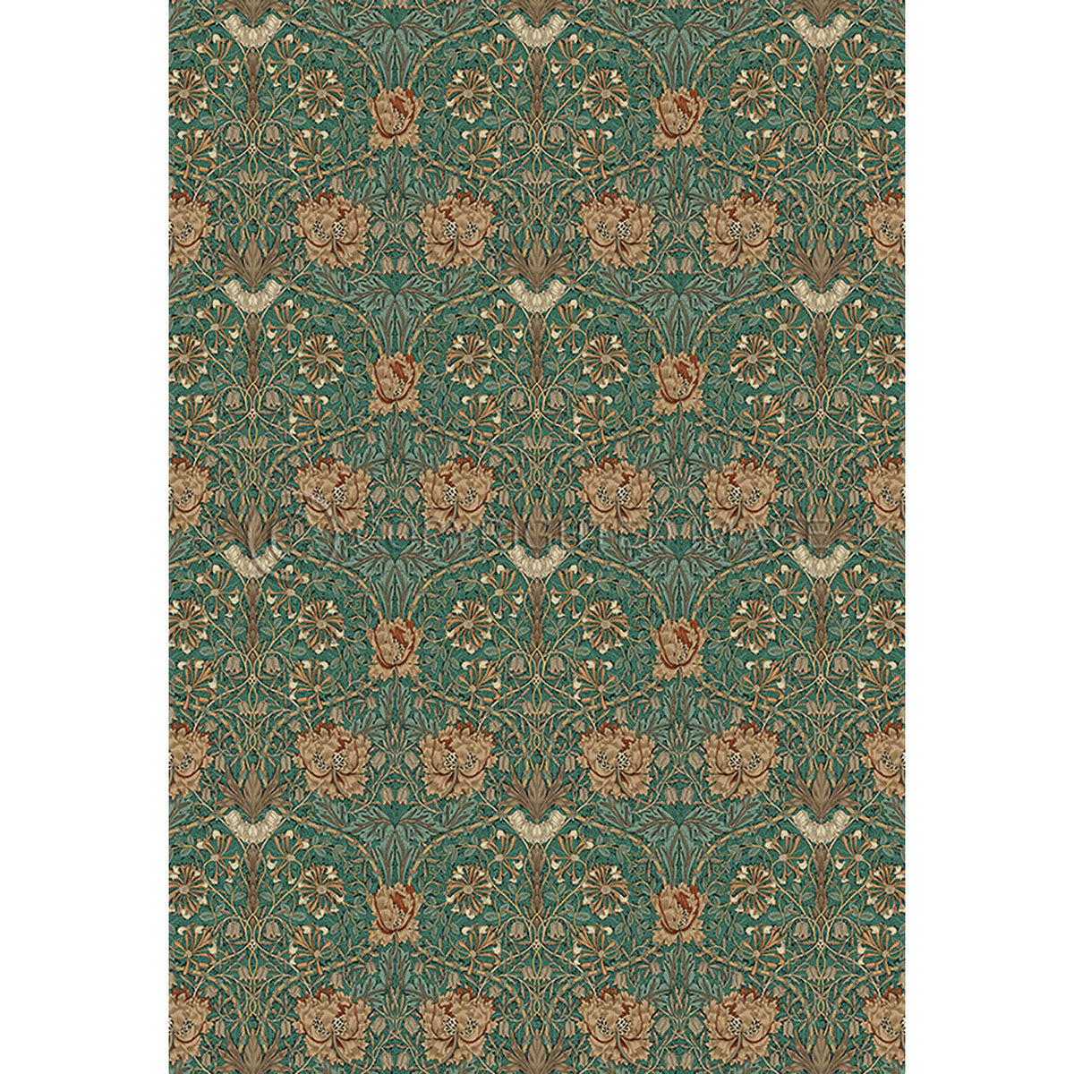 Honeysuckle and Tulip Privet 70x102