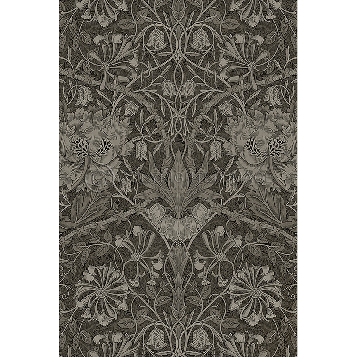 Honeysuckle and Tulip Steel 20x30