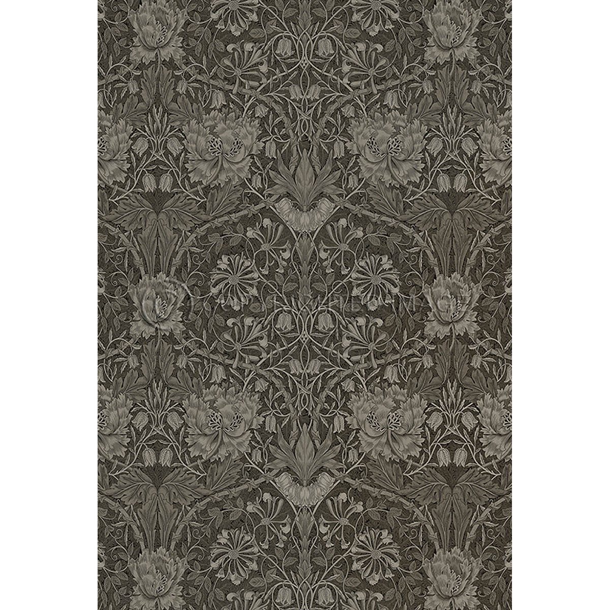 Honeysuckle and Tulip Steel 38x56