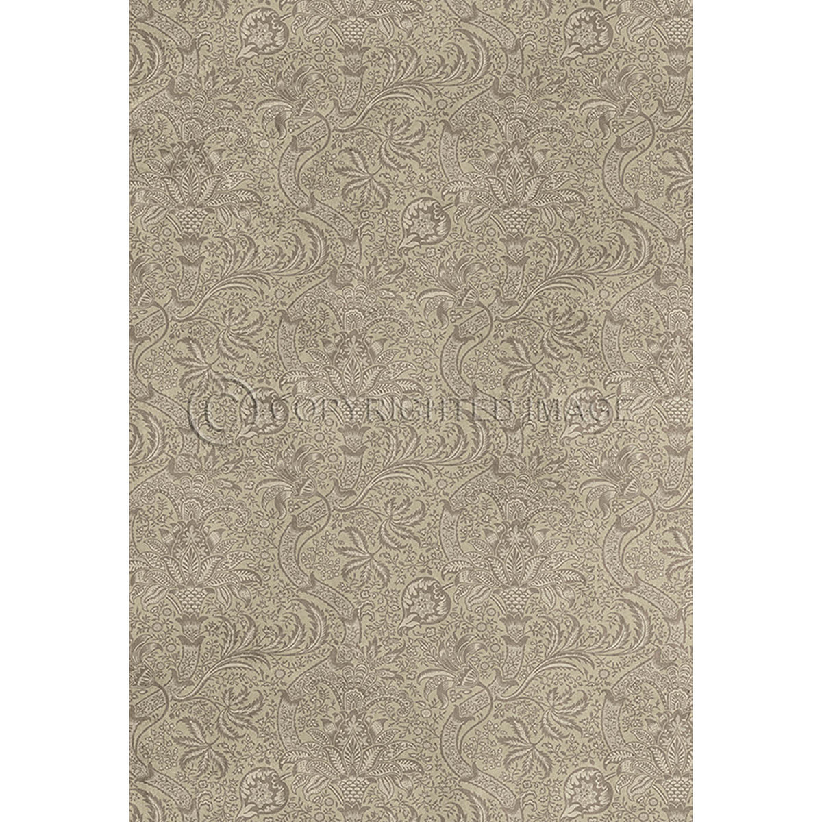 Indian Papyrus 70x102