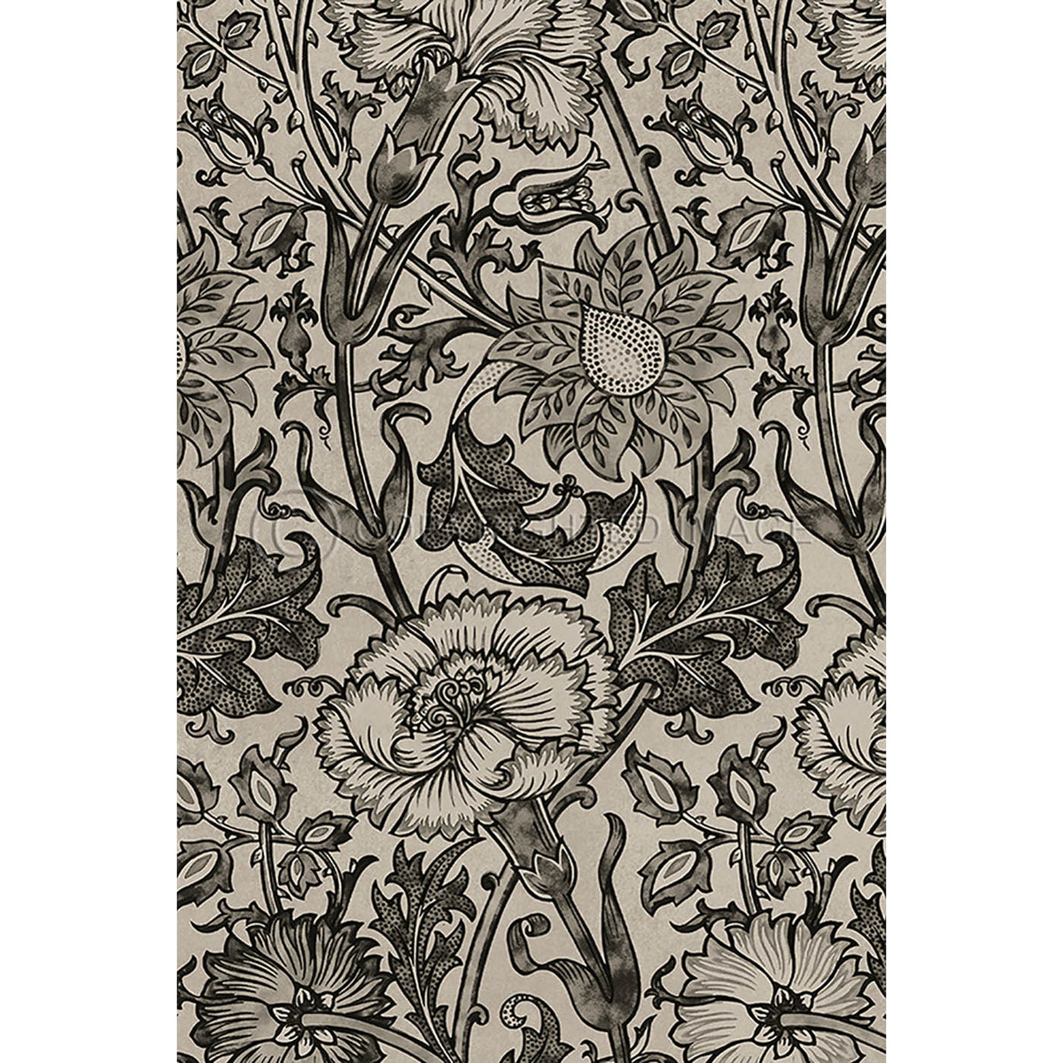 Pink and Rose Black and Dove 20x30