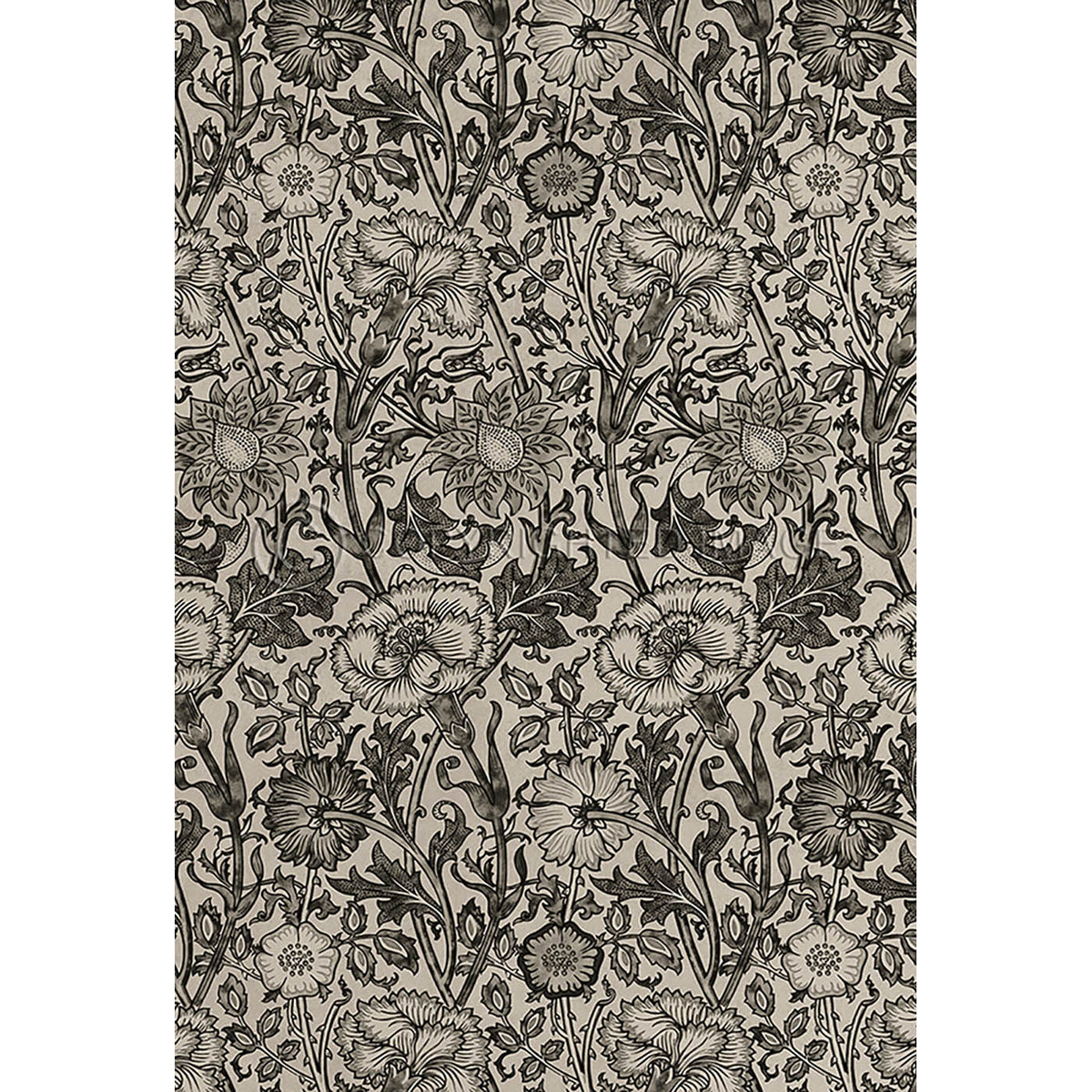 Pink and Rose Black and Dove 38x56