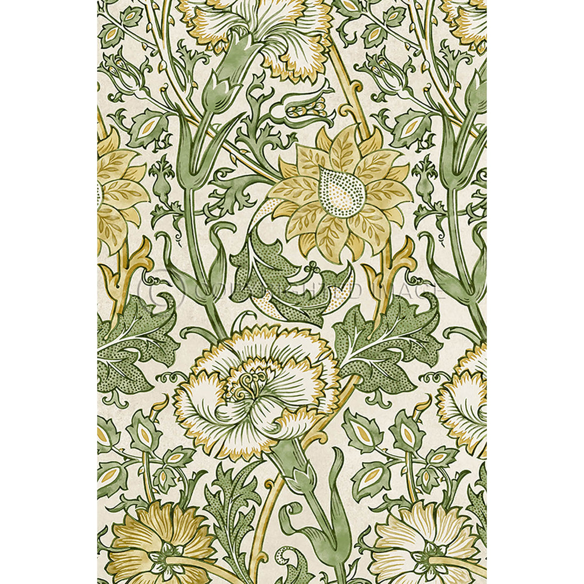 Pink and Rose Citrus and Fennel 20x30