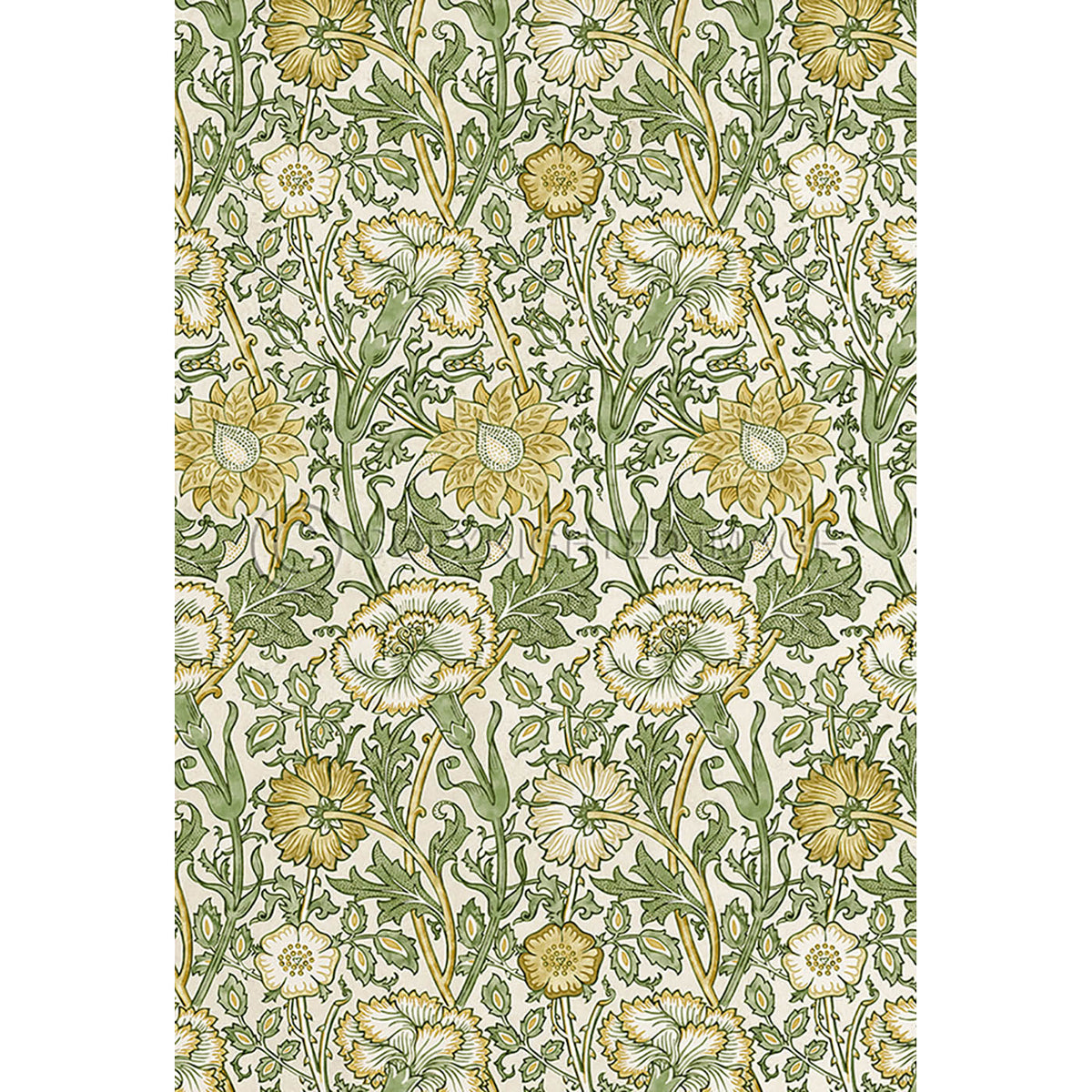 Pink and Rose Citrus and Fennel 38x56