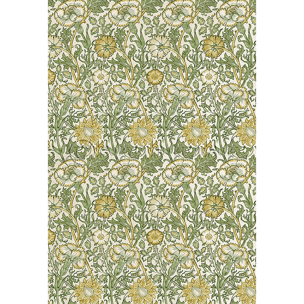 Pink and Rose Citrus and Fennel 52x76