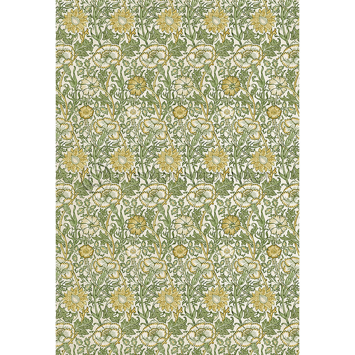 Pink and Rose Citrus and Fennel 70x102