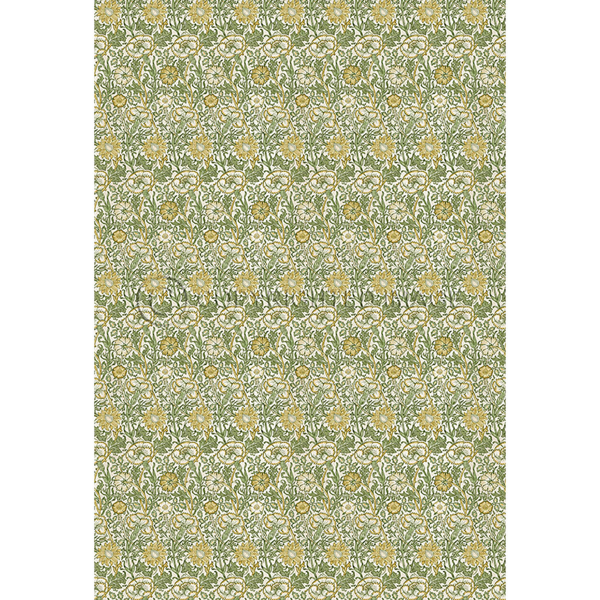 Pink and Rose Citrus and Fennel 120x175