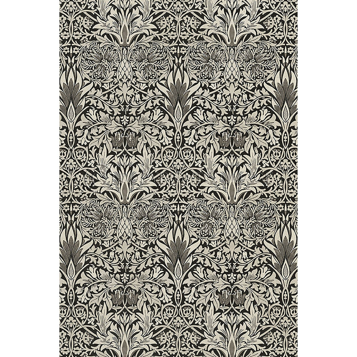 Snakeshead Black and Parchment 20x30