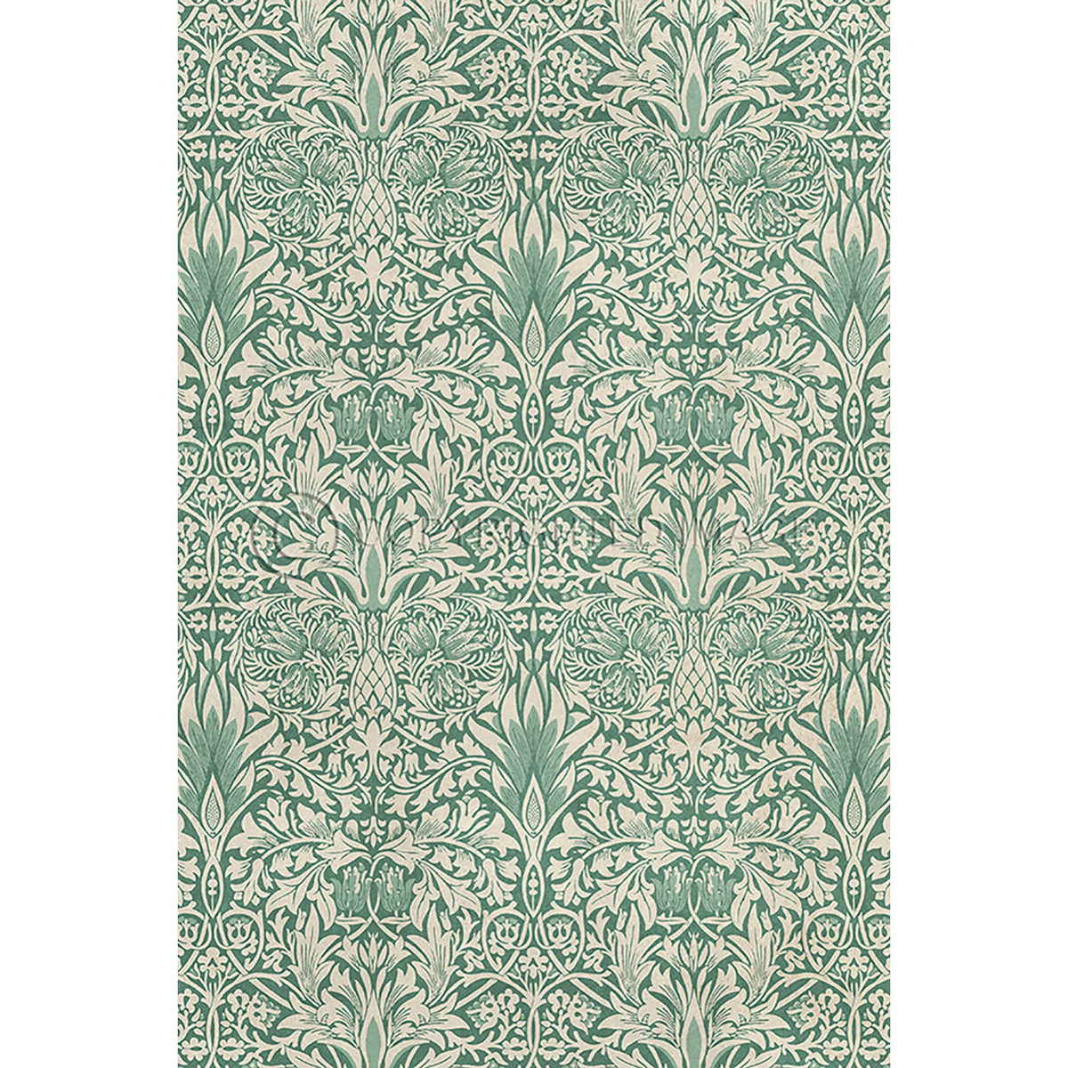 Snakeshead Jade 20x30