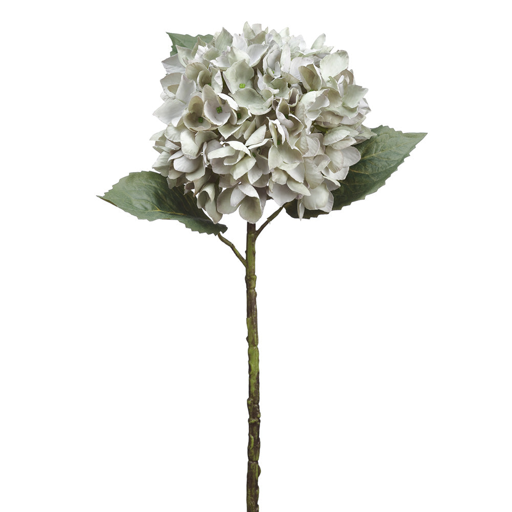Hydrangea Stem Blue Grey