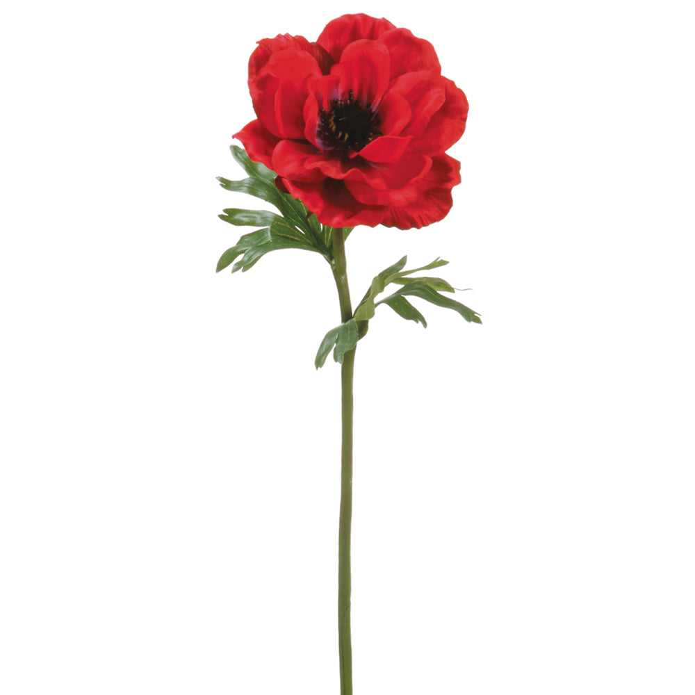 Anemone Stem Red