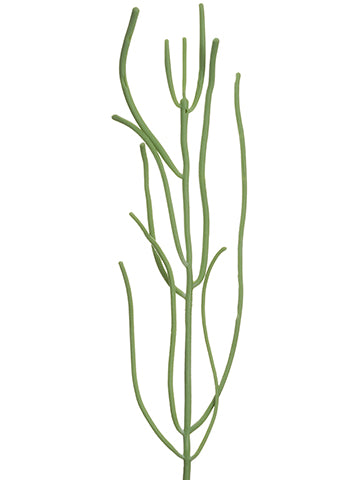 Soft Plast Pencil Cactus