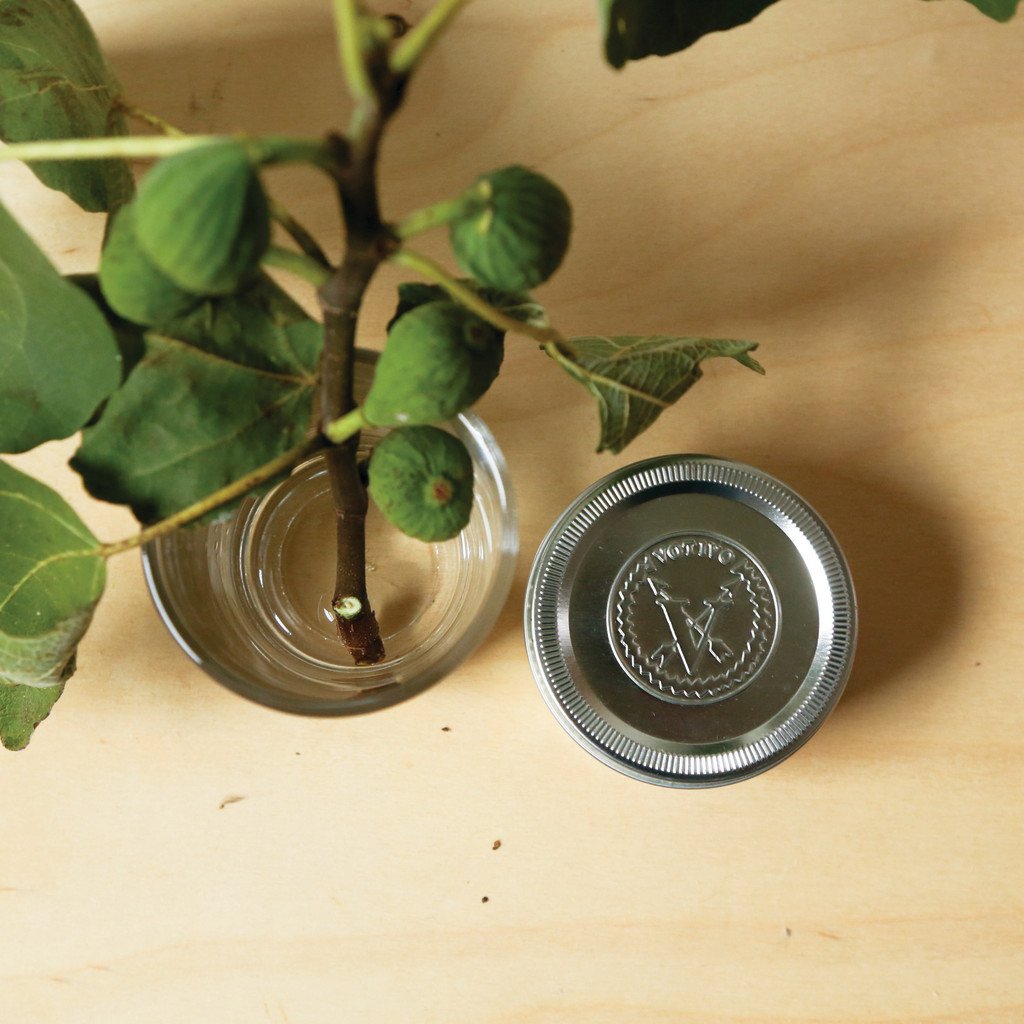 Aromatic Travel Tin Candle-Moroccan Fig