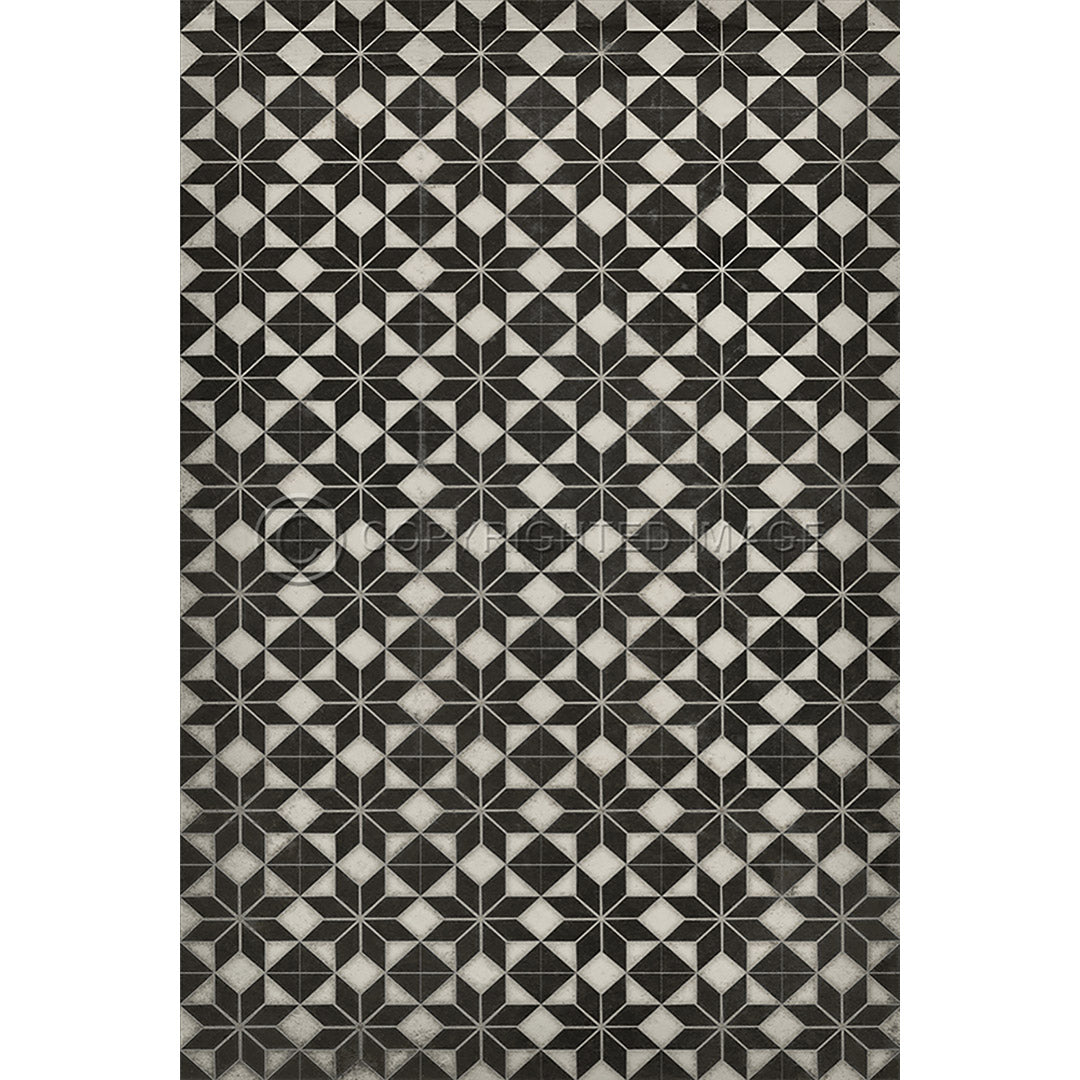 Pattern 20 Stargazer no border 20x30