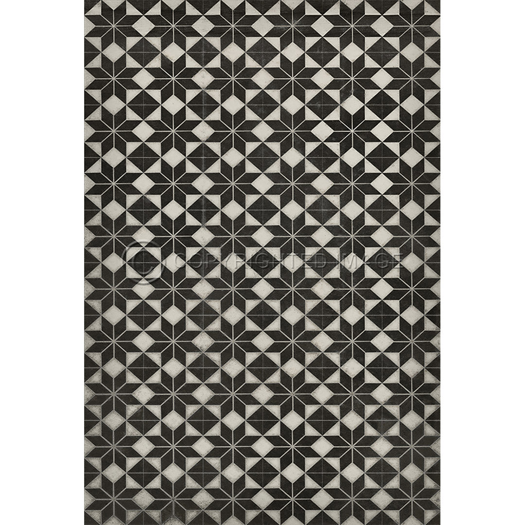 Pattern 20 Stargazer no border 38x56