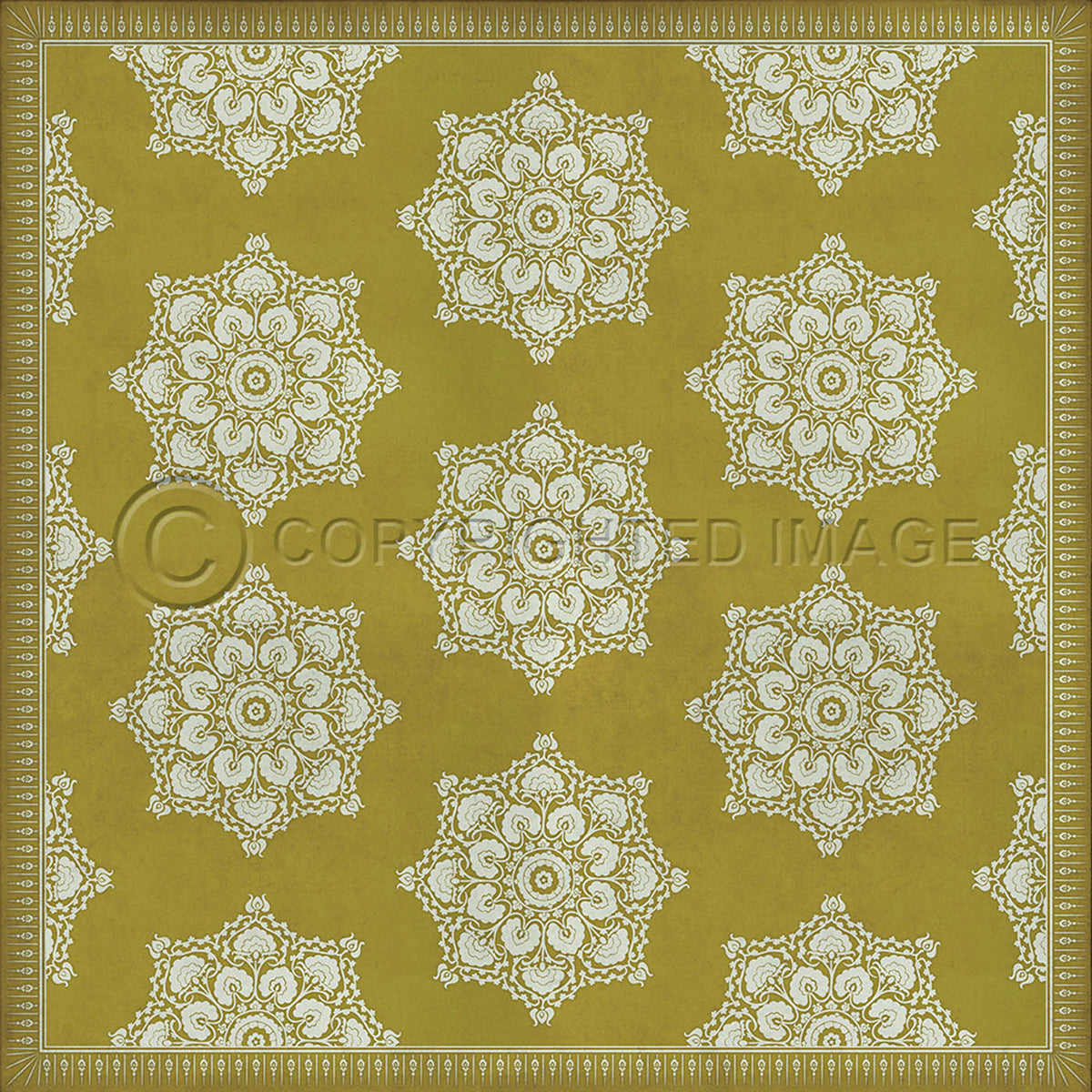 Indian Loop Mustard 120x120