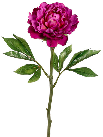 Peony Stem Hot Pink