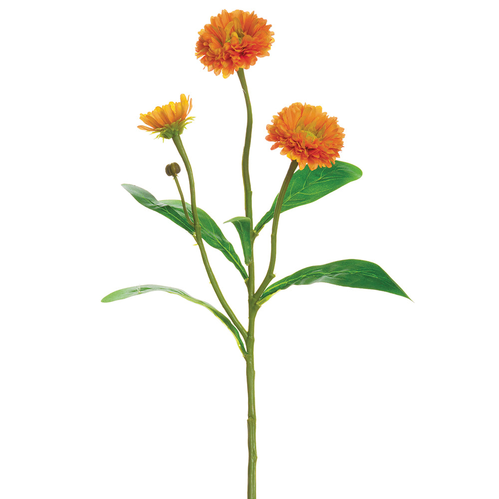 Mum Stem Orange