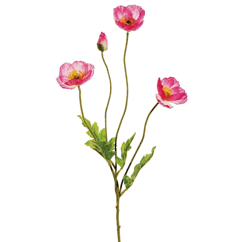 Peony Stem Pink