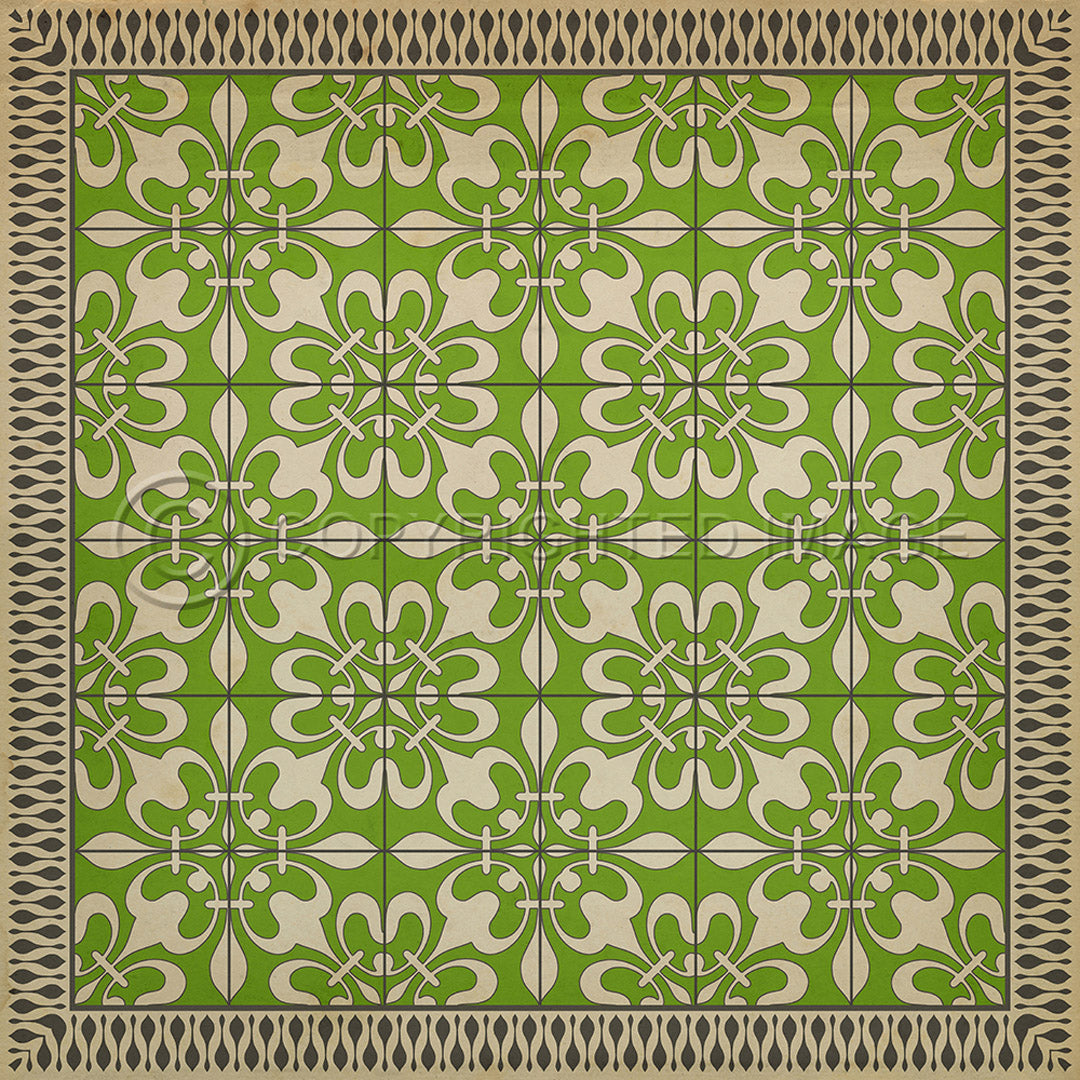 Pattern 55 Field Day 48x48