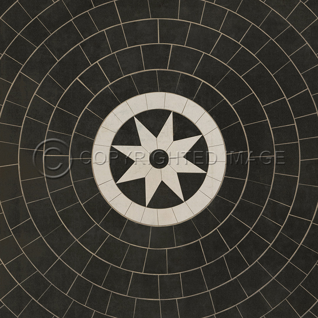 Pattern 58 Regnant 48x48