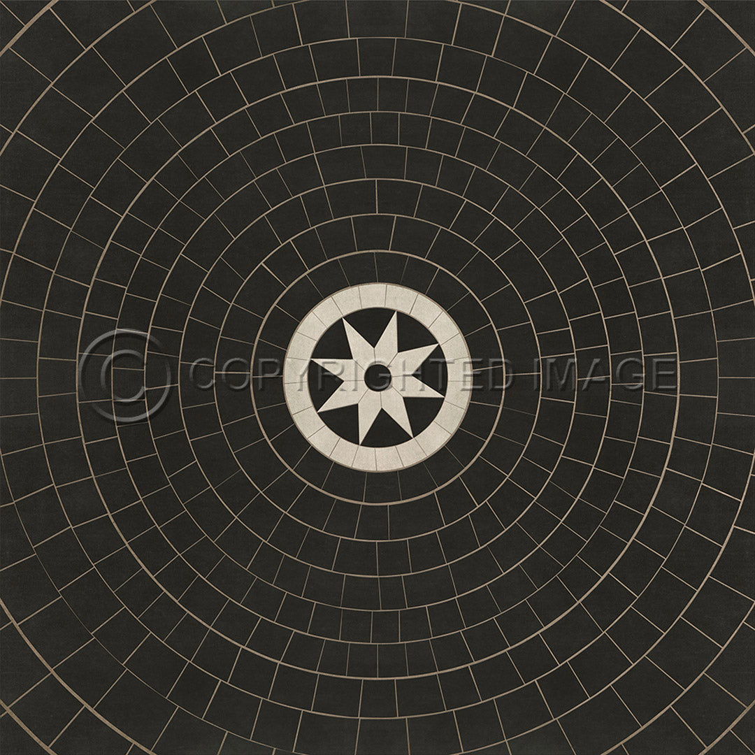 Pattern 58 Regnant 96x96