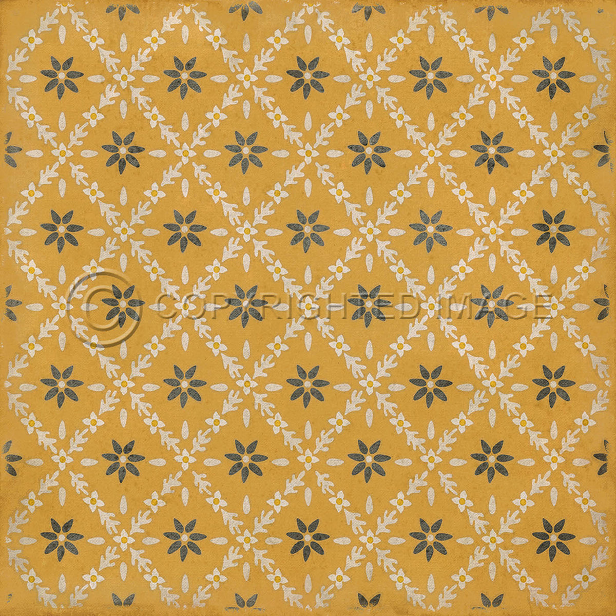 Naturalist Catesby 60x60