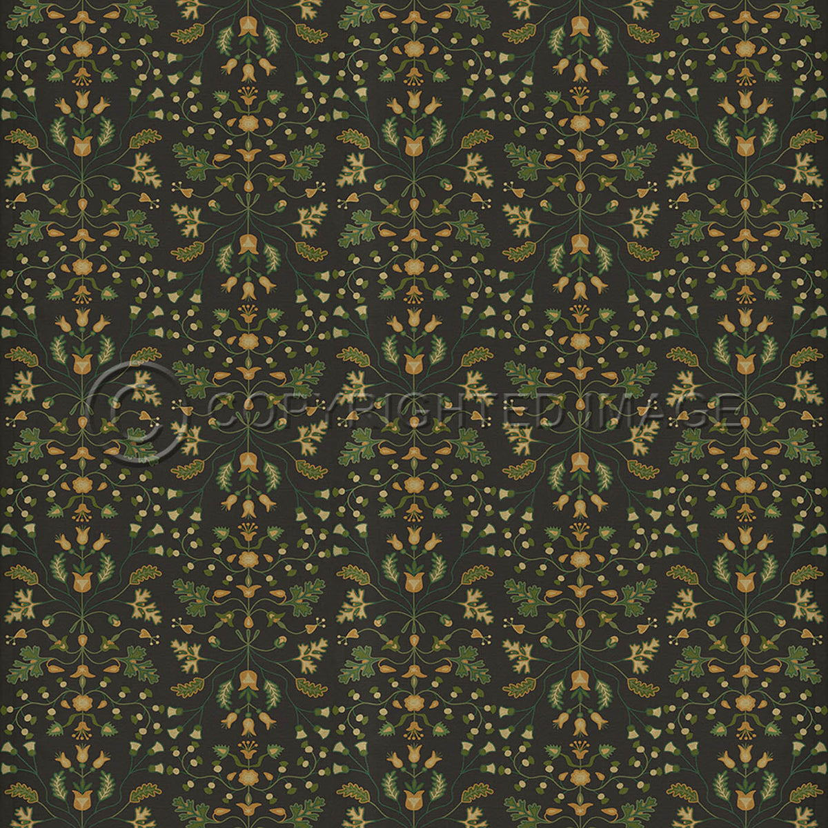 Franklin Benevolus 60x60