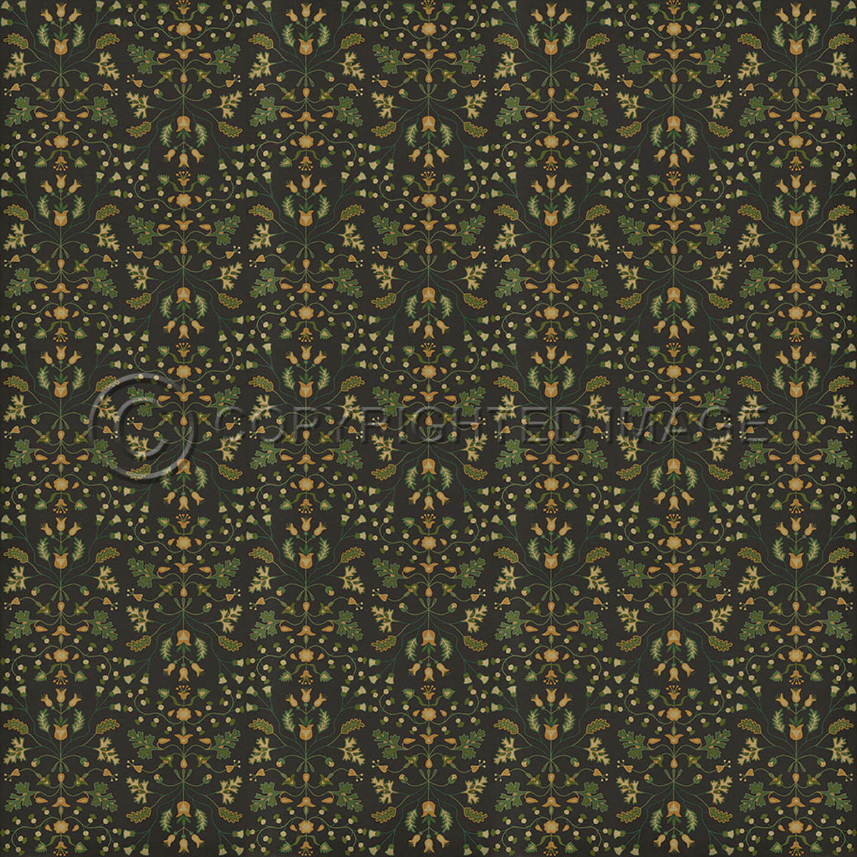 Franklin Benevolus 96x96