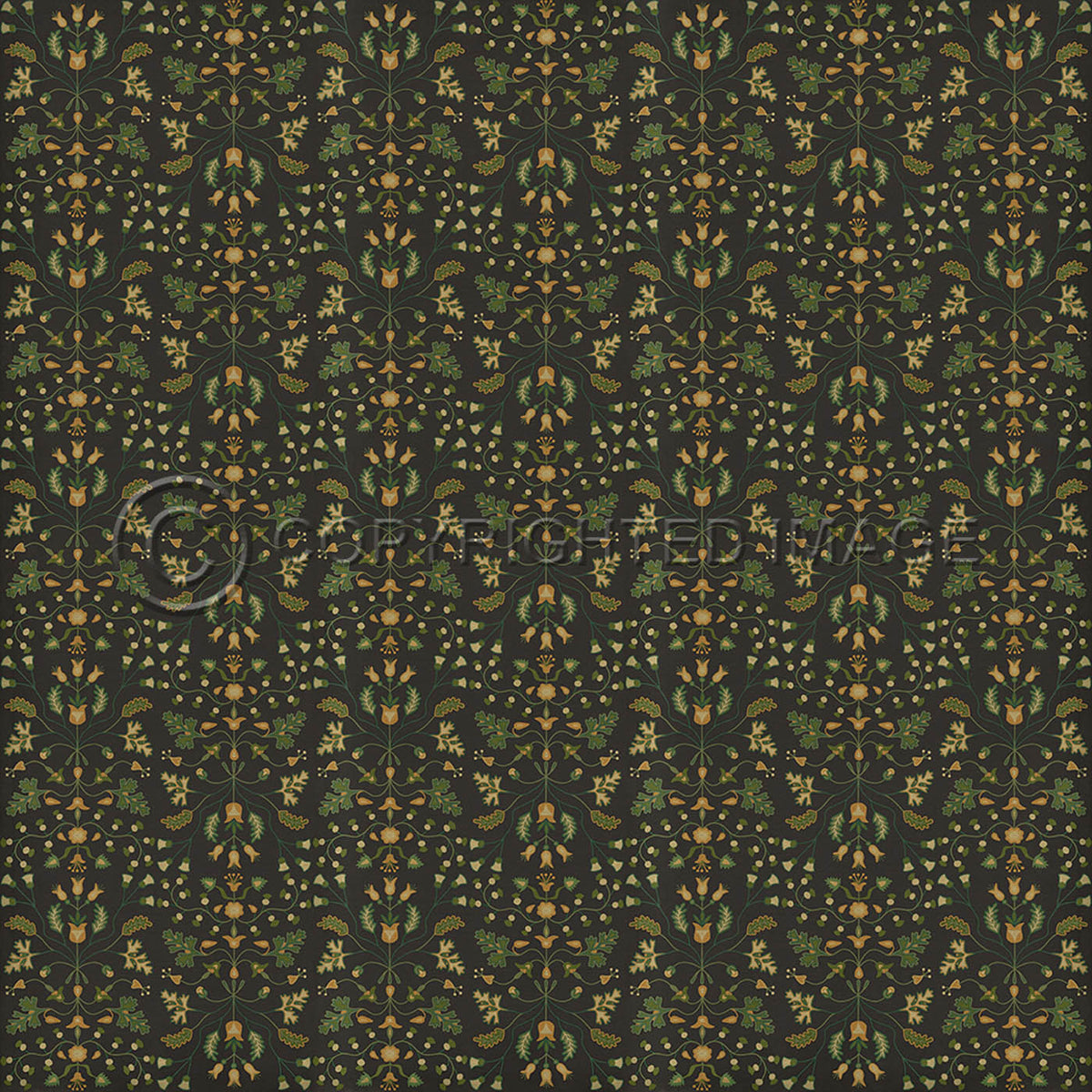 Franklin Benevolus 120x120