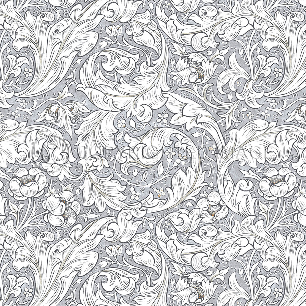 Bachelors Button Chalk 36x36