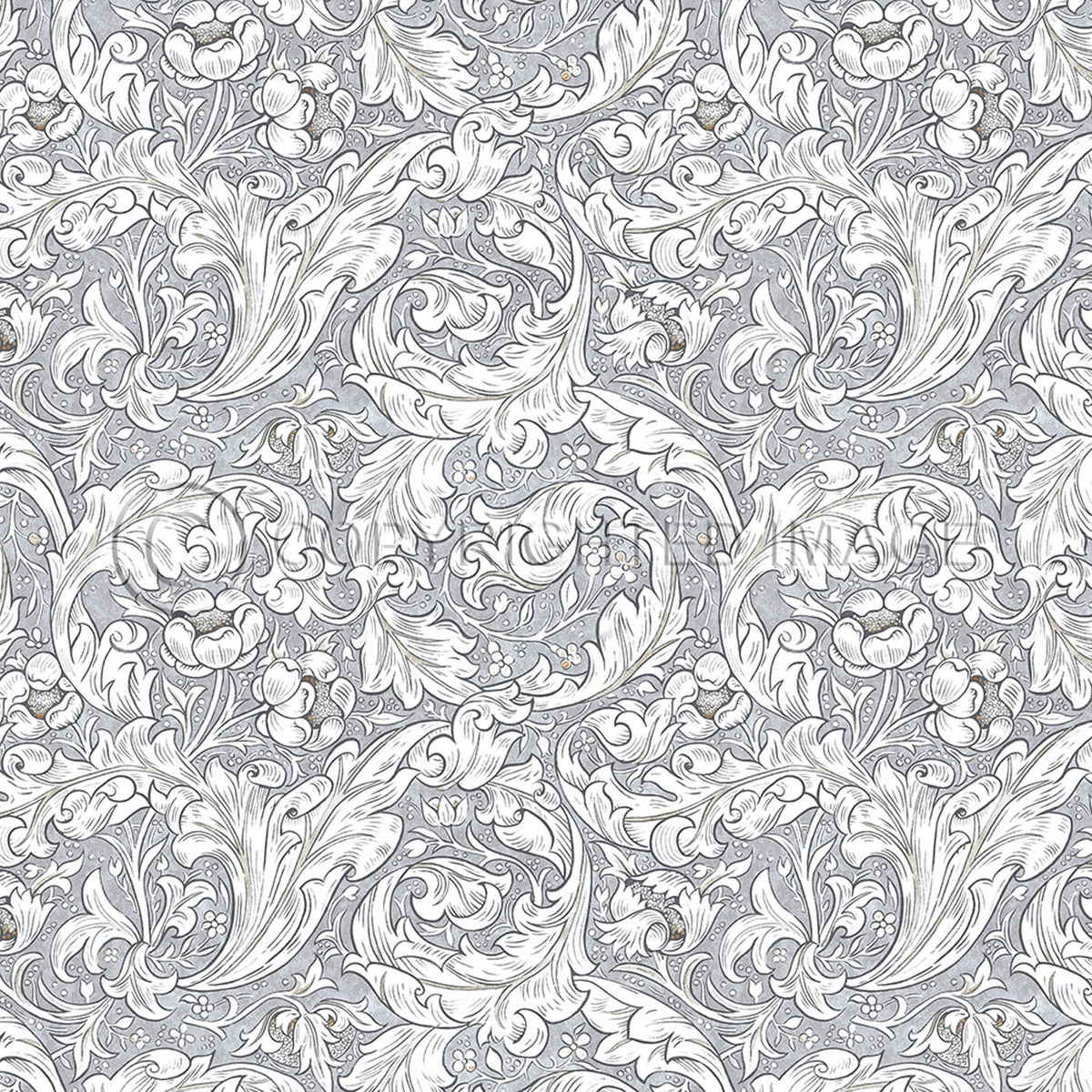 Bachelors Button Chalk 48x48